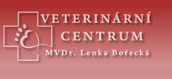 www.veterinaborecka.cz